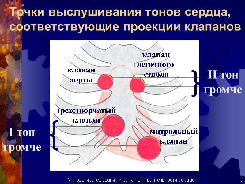 Точки выслушивания тонов сердца, соответствующие проекции клапанов I тон громче II тон громче митральный